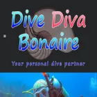 divedivabonaire.com