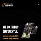 divergentalliance.com