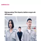 divingconstruction.com