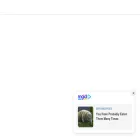djadinmedia.com