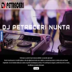 djpetrecerinunta.com