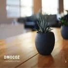 dmocoz.com