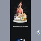 dmwin5.com