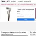 dni.ru