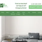 doctormoldremoval.com