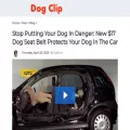 dogclip.co
