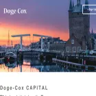 doge-cox.com