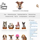 doggroomingtutorial.com