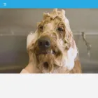 doggydaycareandspa.com