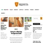 doggyzine.com