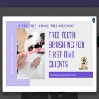 doghousestudiocity.com