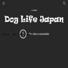 dog-info.jp