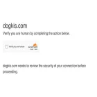 dogkis.com