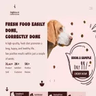 doglicious.in