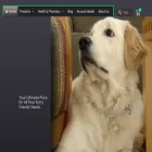 doglifetime.com