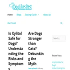 doglikesbest.com