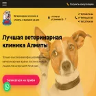 dog-premium.kz