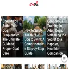dogpet.net