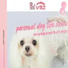dogsalon-ichigo.com