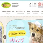 dogsalonluce-taga.com