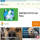 dogsandbarks.com