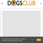 dogsclub.com