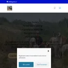 dogsview.nl