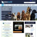 dogzonline.com.au