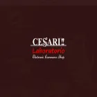 dolcecesari.jp