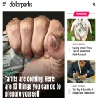 dollarperks.net
