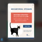 dollysanimalclinic.com