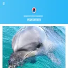 dolphinbase.co.jp