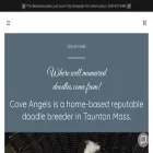 doodlelitters.com