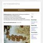 dothideomycetes.org