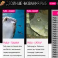 doublenamefish.ru