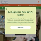 downrivervet.com