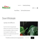 downwholesale.com