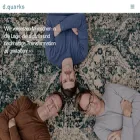 dquarks.com