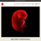 dreamdealsg.com