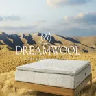 dreamwool.com