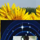 dreamzandexperiences.com