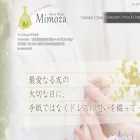 dress-mimoza.com