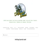 driftwoodbonsai.com
