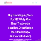 dropshipcorporation.com