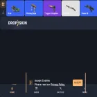 dropskin.com
