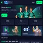 druidwin.com