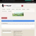 dvfstore.com