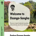 dzanga-sangha.org