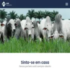 eao.com.br
