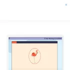 earlylearningflorida.com